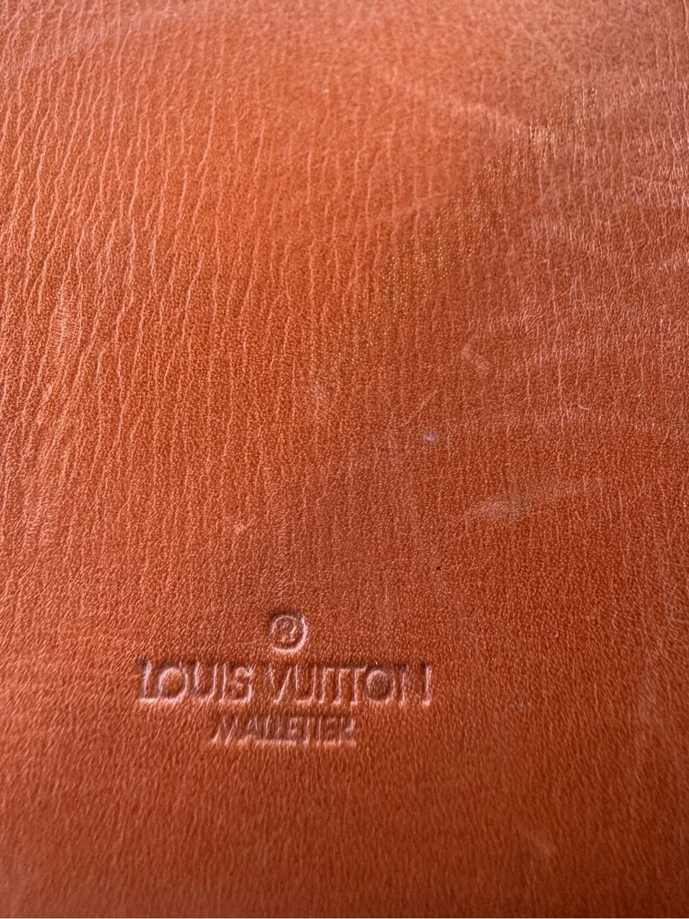 Louis Vuitton MALTELIER Epi Leather long wallet/passport holder